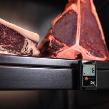 Testo 174H Мини-логгер данных температуры-2