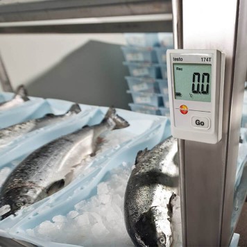 Testo 174T Мини-логгер данных температуры-1