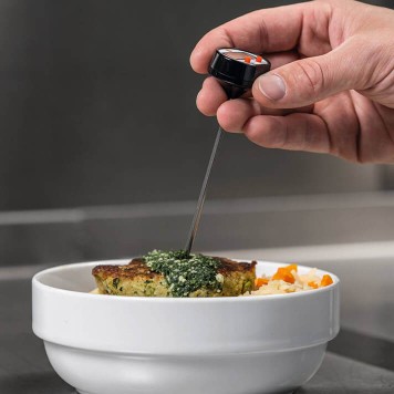 Testo 0560 1110 Стандартный проникающий мини-термометр-3